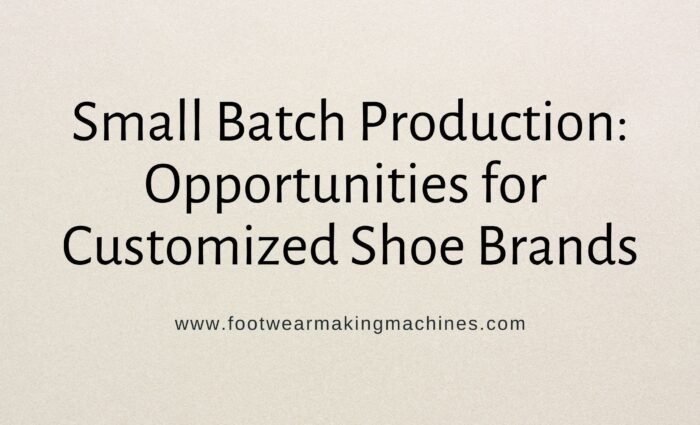 footwear making machine manufacturers